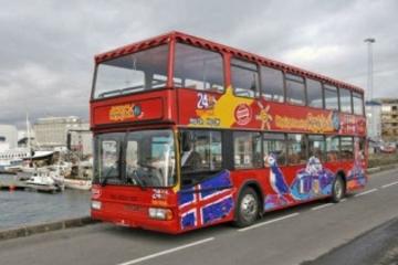 Reykjavik Shore Excursion: Reykjavik Hop-on Hop-off Tour