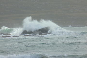 Ring of Beara Day Tour from Killarney