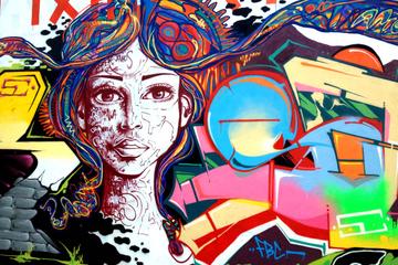 Rio de Janeiro Street Art Tour