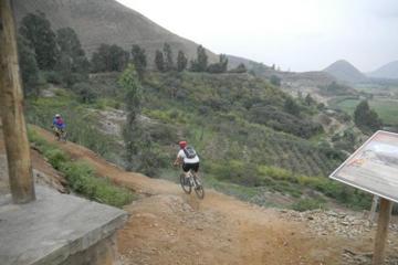 Road to Pachacamac: Small-Group Bike Tour from Lima