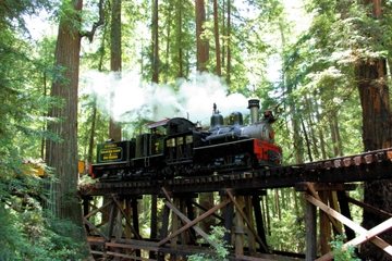 Roaring Camp Steam Train Through Santa Cruz Redwoods