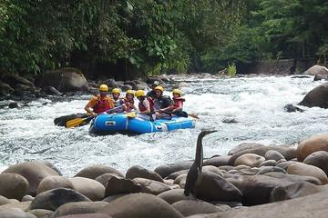 Safari Float in The Sarapiqui River