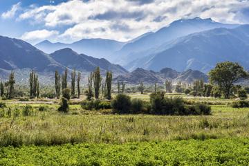 Salta Super Saver: Best of Calchaquí Valley Including Cachi and Cafayate Winery Day Trips