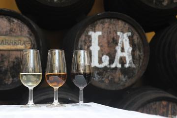 Sanlucar de Barrameda Gastronomic Tour from Seville with Optional Horse Riding
