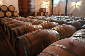 Santiago City Tour and Concha y Toro Winery