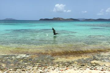 Sapphire Beach Snorkel Adventure in St Thomas