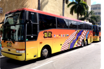Sawgrass Mills Mall Round-Trip Transport from Miami