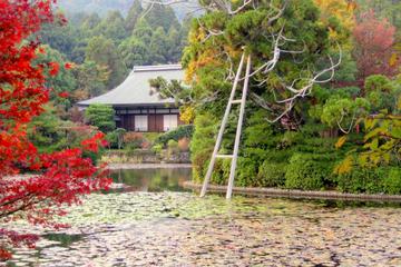 Scholar-led Kyoto Walking Tour: Japanese Gardens and Landscape