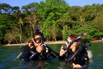 Scuba Diving Adventure for Beginners