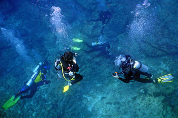 Sea of Cortez Liveaboard Diving Expedition