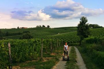 Segway Tour Monferrato Hills and Tastings