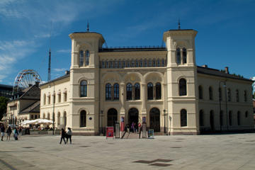 Selected Oslo City Tour Including the Viking Ship Museum