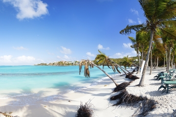 Self-Drive Boat Tour and Snorkel from Simpson Bay