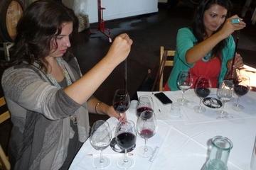 Semi-Private Boutique Wine Country Tour with Personal Wine Blending