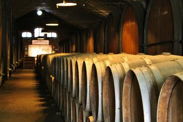 Setúbal Region Wine Tasting Private Day Trip from Lisbon