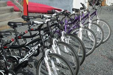 Seward Bike Rental