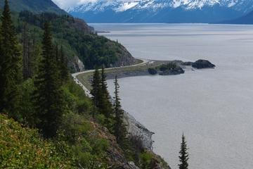 Seward Highway Tour from Anchorage: Turnagain Arm, Mt Alyeska and Optional Glacier Cruise