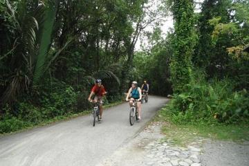 Singapore Bike Adventure around Pulau Ubin