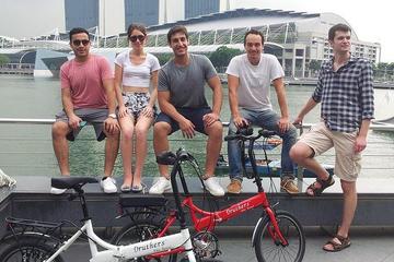Singapore City Bike Tour