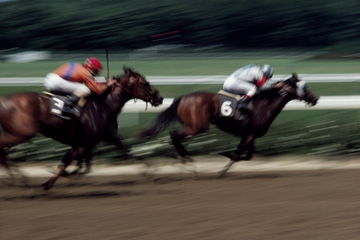 Singapore Turf Club: Horse Racing with VIP Lounge Access