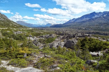 Skagway City and White Pass Summit Tour with Lunch