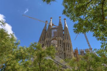 Skip the Line: Barcelona Sagrada Familia Tour Including Tower Entry