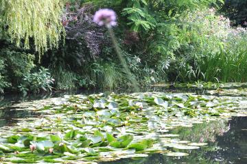 Skip the Line Giverny Small Group Roundtrip Transfer and Skip the Line Entrance Ticket from Paris