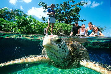 Skip the Line: Palma Aquarium on Mallorca