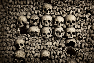 Skip the Line Paris Catacombs Guided tour