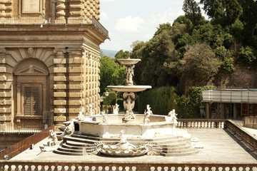 Skip the Line: Pitti Palace and Palatine Gallery Walking Tour
