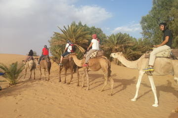 Small-Group 2-Night Desert Tour from Marrakech
