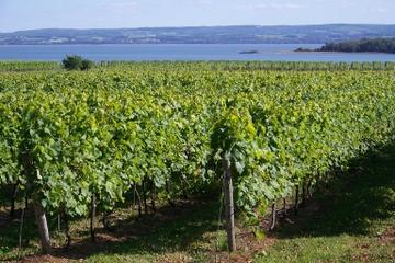 Small-Group Annapolis Valley Wine and Food Tour from Halifax