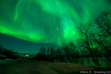 Small-Group Aurora Hunting Northern Lights Tour from Tromso