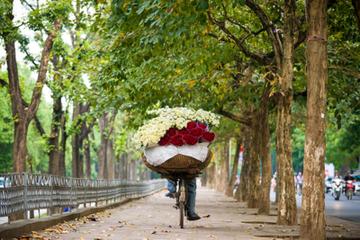 Small-Group Bat Trang Pottery Village Biking Tour from Hanoi