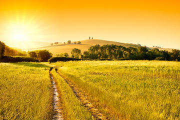 Small-Group Chianti and San Gimignano Sunset Trip from Siena