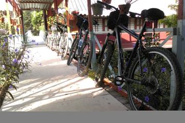 Small-Group Cycling Tour from Ho Chi Ming City