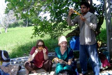 Small-Group Day Trip from Chennai: Countryside Farm Tour with Lunch
