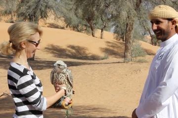 Small-Group Dubai Interactive Falconry Experience and Wildlife Drive with Optional Breakfast