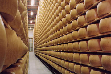 Small-Group Food and Wine Tour from Bologna Including Lunch