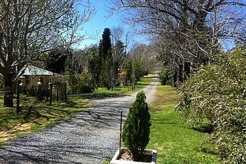 Small-Group Gold Coast Beaches and Mt Tambourine Wine Tour