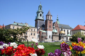 Small-Group Krakow Old Town Walking Tour Including Rynek Glówny, Mariacki and Wawel Cathedral