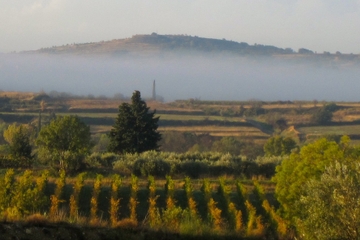 Small-Group Languedoc Terrasses du Larzac Wine Tour With Lunch from Montpellier