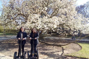 Small-Group Prague Segway Tour: Castle and Old Town