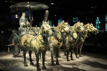 Small-Group Tour: Terracotta Warriors, Dumpling Banquet and Tang Dynasty Show in Xi'an
