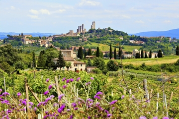 Small-Group Tuscany Wine Country Day Trip from Rome Including Wine Tasting