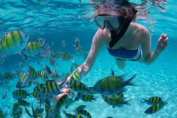 Snorkel Cruise from Montego Bay