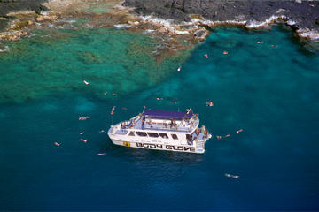 Snorkel Dolphin Adventure aboard Luxury Catamaran