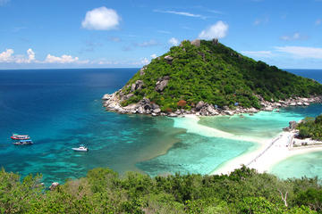 Snorkelling Trip to Koh Nangyuan and Koh Tao by High Speed Catamaran from Koh Samui