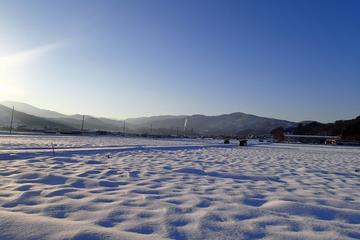 Snow scenery and winter cuisine tour