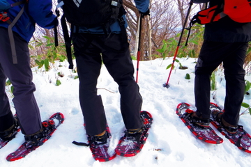 Snowshoe Hiking Tour Including Lunch from Sapporo